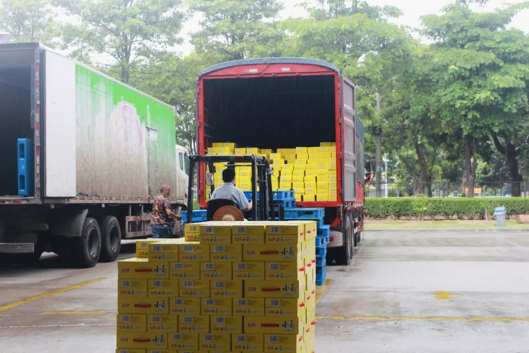 1673774515784254.jpg 6.jpg